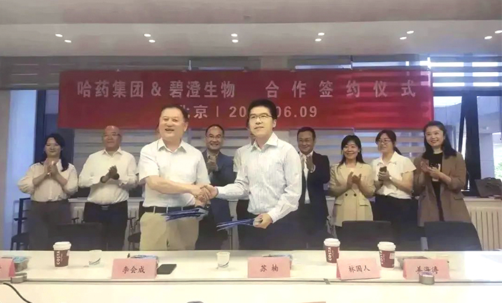 哈药携手清华大学，强强联合共创胶原蛋白行业未来